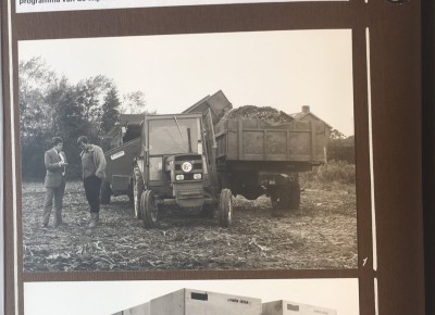 1980: CNB gaat bemiddelen in vaste planten